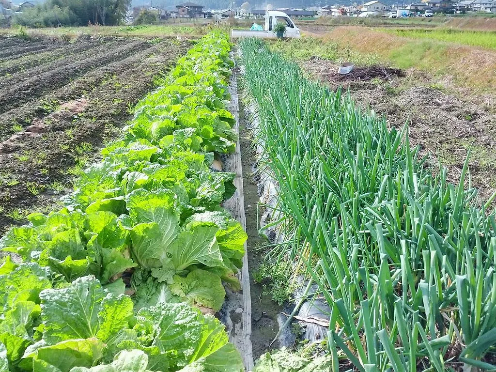 *** 료칸 유모토 온센 오하라산소우 호텔 교토 일본