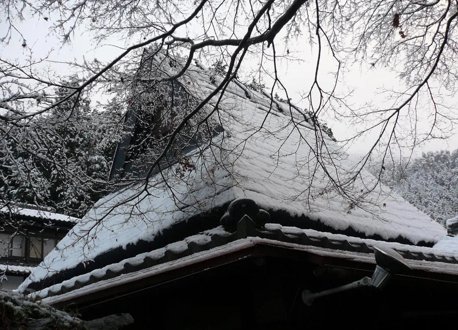 Ryokan Hotel Yumoto Onsen Oharasansou Kioto