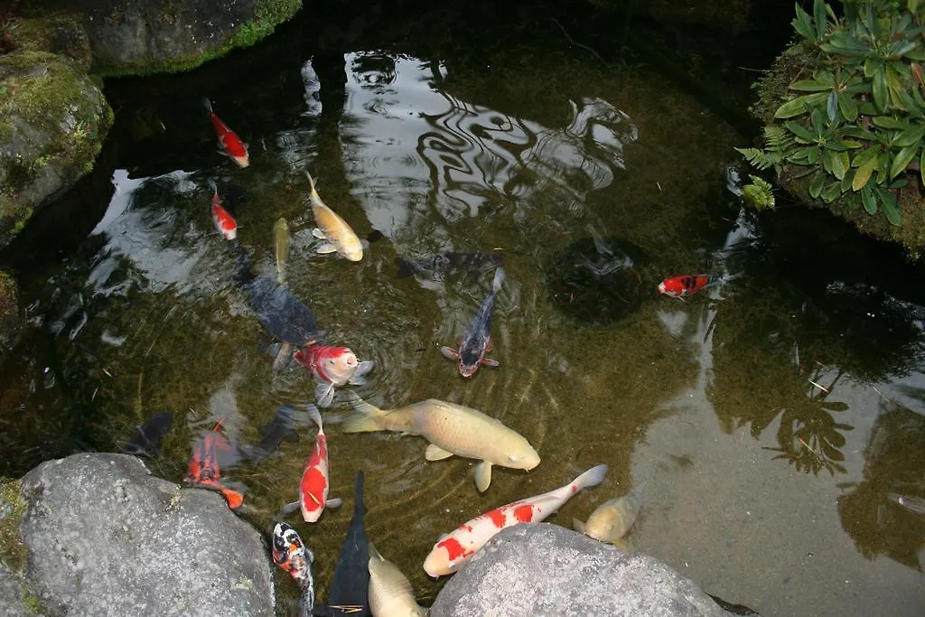 Hotel Yumoto Onsen Oharasansou Kioto