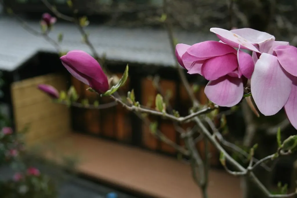 Hotel Yumoto Onsen Oharasansou Kioto Ryokan